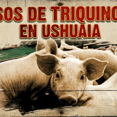 El Ministerio de Salud investiga un posible brote de triquinosis en Ushuaia