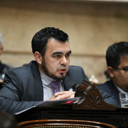 El diputado Rodríguez destacó la sanción del Súper RIGI