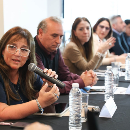 Castillo participó del encuentro del Consejo Federal de Energía