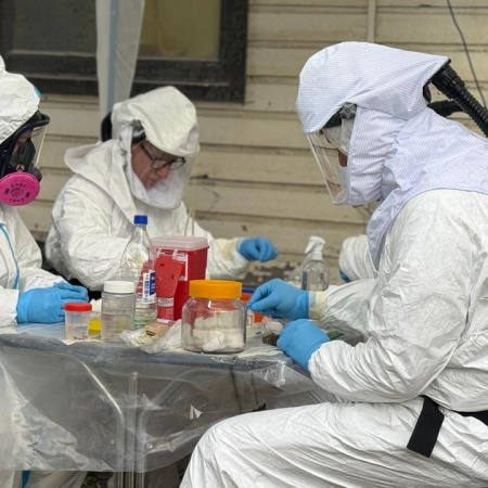 Salud confirmó que el hantavirus vinculado al crucero no circula en Ushuaia