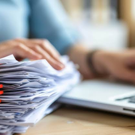 Lotes y viviendas en Tolhuin: se registraron más de 340 consultas en las primeras 48 horas