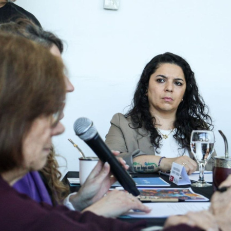 El Consejo Consultivo de la Mujer tendrá funcionamiento permanente y reuniones periódicas