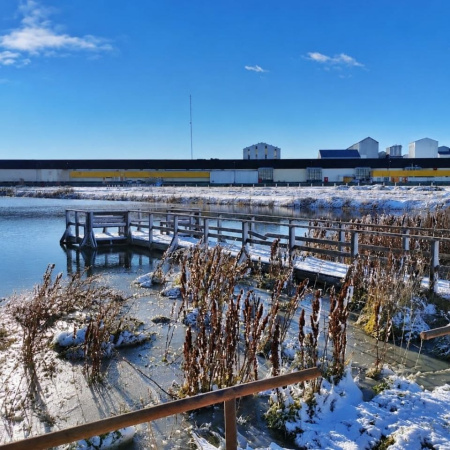 Río Grande: El municipio habilitó actividades sobre hielo en Laguna de los Patos