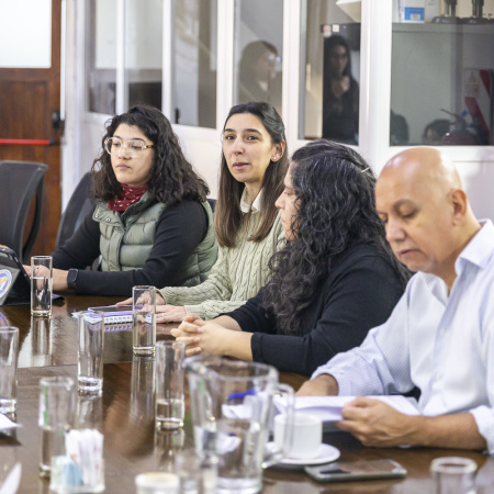 Profesionales de la terapia ocupacional expusieron en la Legislatura