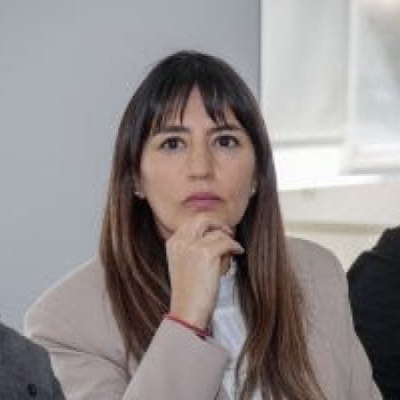 La legisladora Colazo participó de una nueva reunión de la Comisión Consultiva