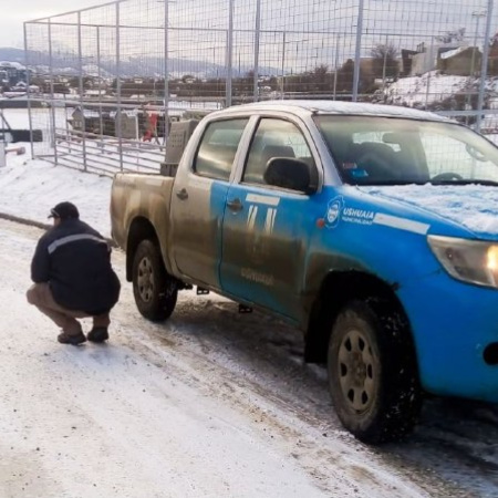 La Municipalidad labró 20 actas de infracciones y capturó dos canes