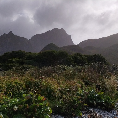 Reserva Provincial Isla de los Estados: el desafío de proteger un lugar remoto y extraordinario