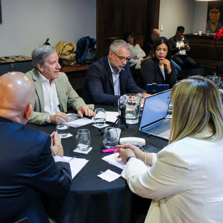"Buscamos normativas que eviten que estas situaciones vuelvan a suceder", dijo Lapadula
