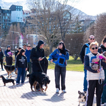 Campaña antirrábica: el Municipio de Ushuaia ya vacunó más de 240 animales