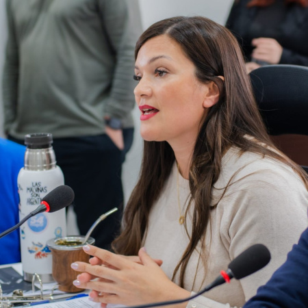 Zamora y Löffler impulsaron un reclamo a Nación para evitar aumentos en las tarifas de gas