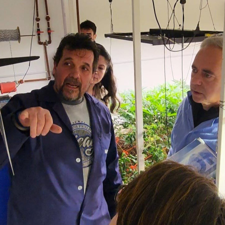 Cultivo de Cannabis: Destacan el nivel técnico y el potencial fueguino