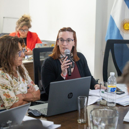 "El proyecto busca generar previsibilidad y estabilidad en la inversión educativa"