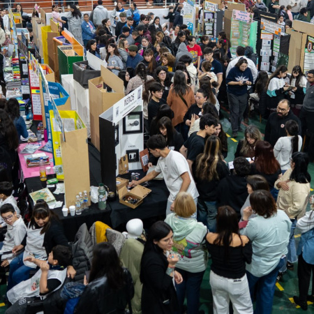 Una veintena de proyectos entre más de 200 participarán a nivel nacional