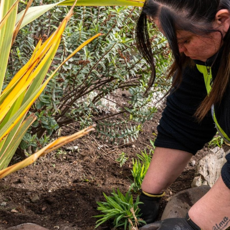 Avanzan los trabajos de mantenimiento en espacios verdes de la ciudad