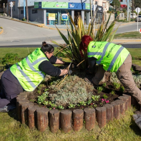 La Municipalidad continúa con trabajos de mantenimiento en espacios verdes de la ciudad