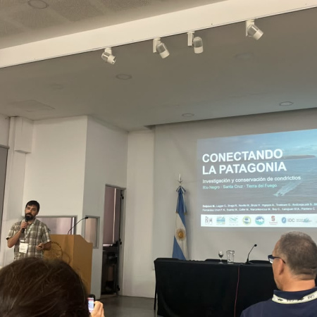 Tiburones fueguinos en el primer Congreso Argentino de Ictiología
