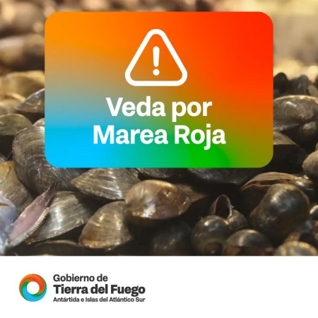 Establecen la veda de moluscos en el Canal de Beagle y toda la Costa Atlántica provincial